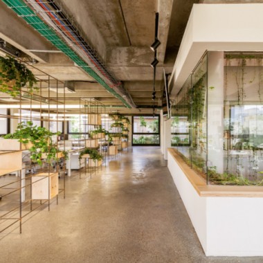 华可可丨被绿植覆盖的办公室设计装修案例-#室内设计#工业风#26590.jpg