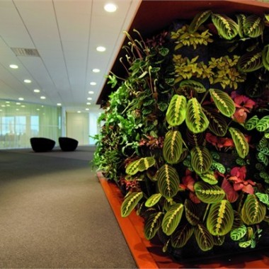 室内绿植让办公空间增添生机-#办公空间#绿植#24120.jpg