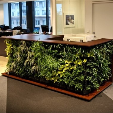 室内绿植让办公空间增添生机-#办公空间#绿植#24121.jpg