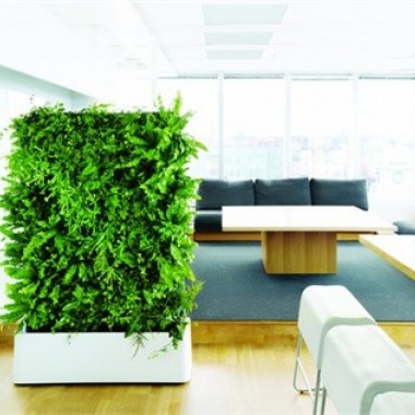 室内绿植让办公空间增添生机-#办公空间#绿植#24123.jpg
