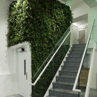 室内绿植让办公空间增添生机-#办公空间#绿植#24127.jpg