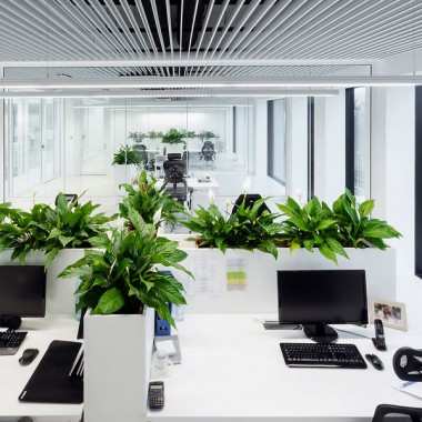 办公室内部装饰-Pivexin技术总部-#室内设计#现代#软装设计#25113.jpg