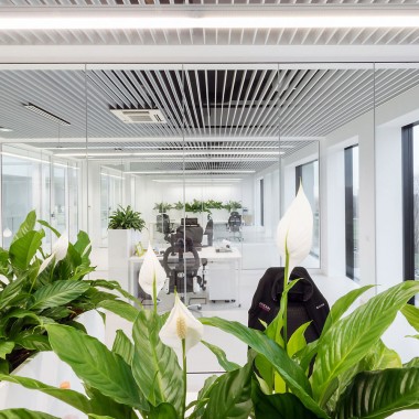 办公室内部装饰-Pivexin技术总部-#室内设计#现代#软装设计#25119.jpg