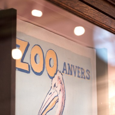 比利时 Flamingo 动物园中的餐厅 -#怀旧#餐厅#火烈鸟#367.jpg