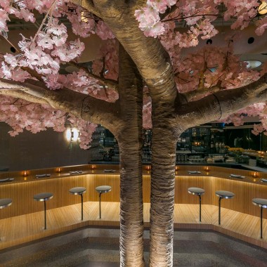 Menard Dworkind：加拿大 樱花树日本餐厅9680.jpg