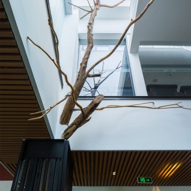 北京筑土设计  北京春晖园：极富艺术感的“树”餐厅15404.jpg