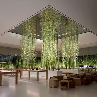 “竹海” Apple Store 澳门店 ： Foster+Partners2921.jpg