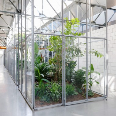 阿姆斯特丹：工厂改造成充满温室气体的办公室8715.jpg