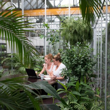 阿姆斯特丹：工厂改造成充满温室气体的办公室8719.jpg