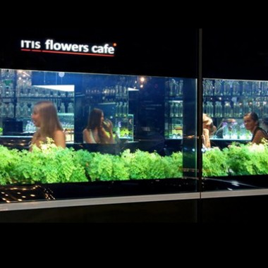 乌克兰itis flowers 咖啡店428.jpg