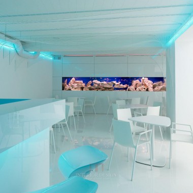 酒吧水族馆下一个级别工作室Bar Aquarium 视角感受极高3690.jpg